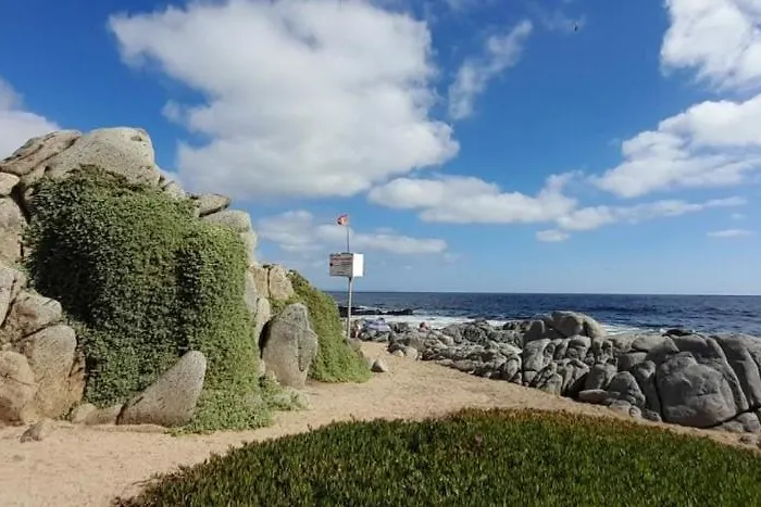 Cabanas Isla Neruda